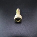 X00479 SCREW