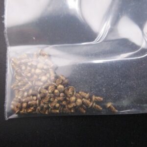 50094 SCREW