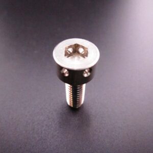 285135 DRILLED HEAD SCREW