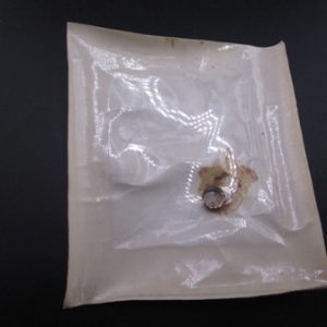306676 RING