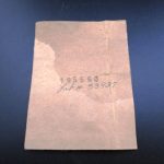 195560 SPRING