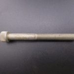 224953 SCREW
