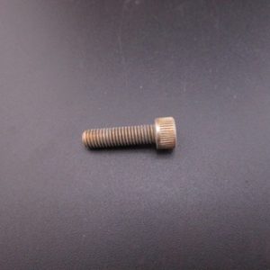 224947 SCREW